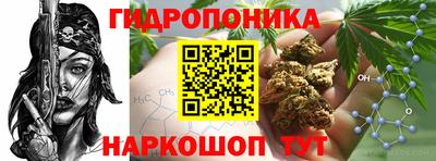 2c-b Кулебаки