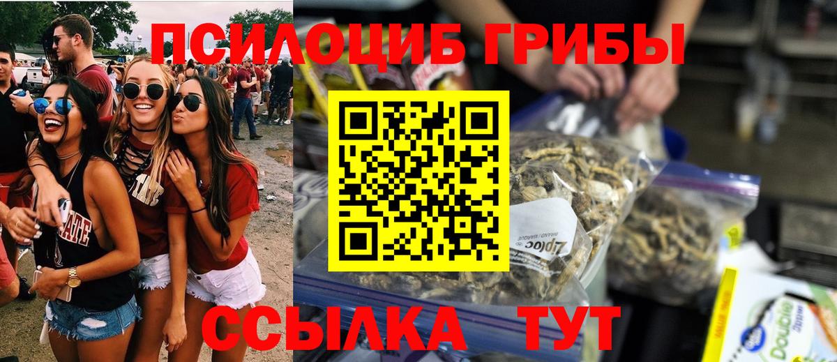 Псилоцибиновые грибы Magic Shrooms Жигулёвск